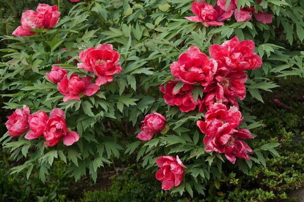 Le guide complet pour déplacer votre lit king size en toute sécurité sans avoir à le démonter !