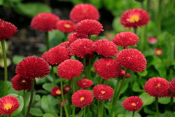 L'importance d'un système d'alarme dans la sécurisation de votre maison